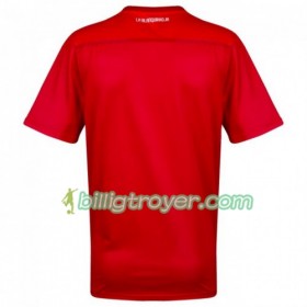 Billige Fotballdrakter Peru Bortedraktsett Copa América 2019 Kortermet